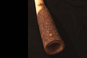 akátová didgeridoo